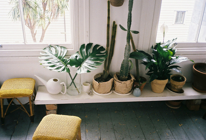 The Everyday #interior #apartment #design