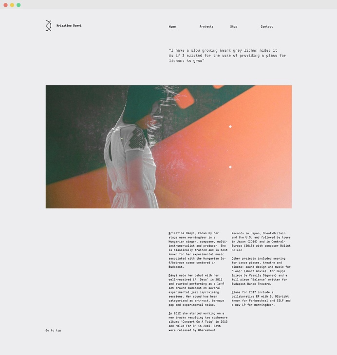 Portfolio for Krisztina Danyi @ The visual work of Tamas Horvath #portfolio #layout #design #website #webdesign #minimal #grid #identity #on