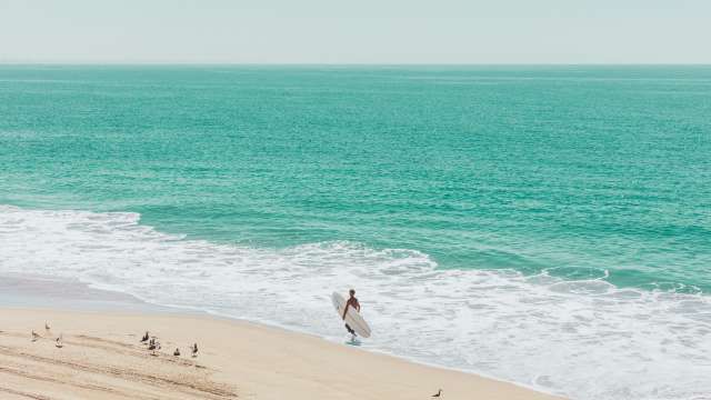 Daily Design Inspiration