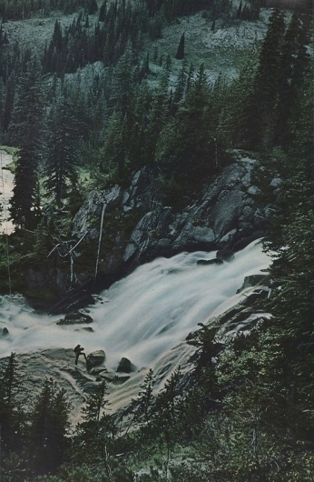 269160515199407711_UjSR9JdB_c.jpg (JPEG Image, 553 × 845 pixels) #forest #waterfall #national #geographic