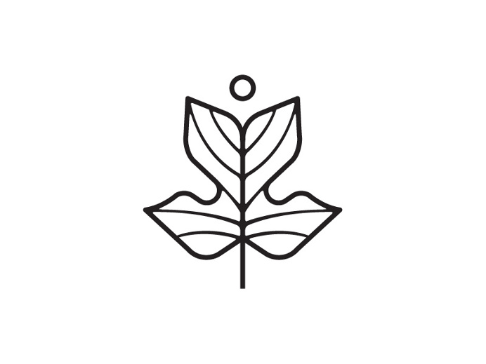 Yellow Poplar by Tyler Deeb