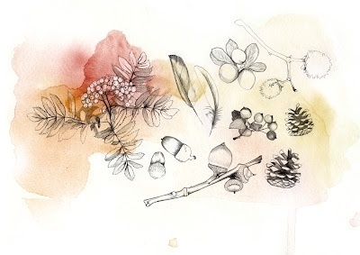 Lítill Blóm #wood #illustration #aquarell #drawn #bleistift #hand
