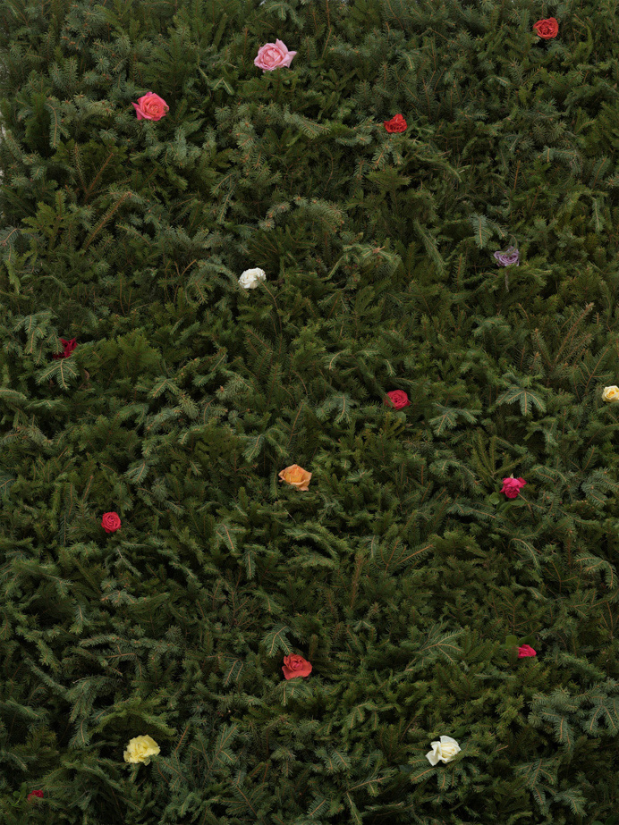 "Still (Noon)" by Photographer Shane Lavalette - BOOOOOOOM! - CREATE * INSPIRE * COMMUNITY * ART * DESIGN * MUSIC * FILM * PHOTO * PROJE