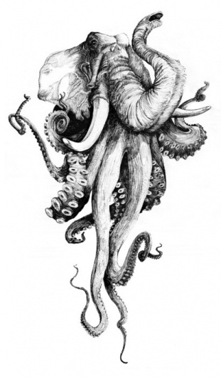 Illustrations - Drawings / The living dead blog #white #draw #black #octopus #elephant #tattoo #animal