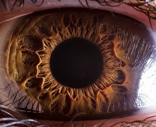 Your beautiful eyes on Photography Served #eye #photography