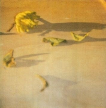 WATERSCHOENEN: Cy Twombly in Bozar #twombly #cy #photography #polaroid
