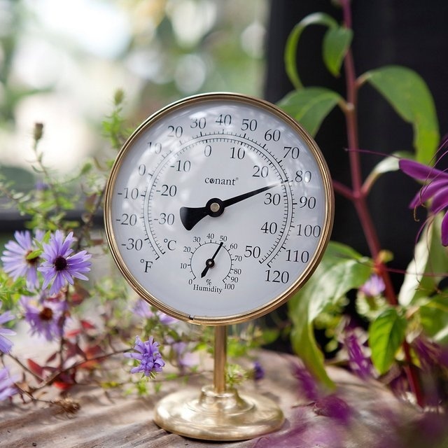 Brass Weather Station #tech #flow #gadget #gift #ideas #cool