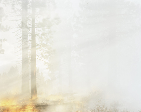 Young Suh | PICDIT #photo #photos #photography