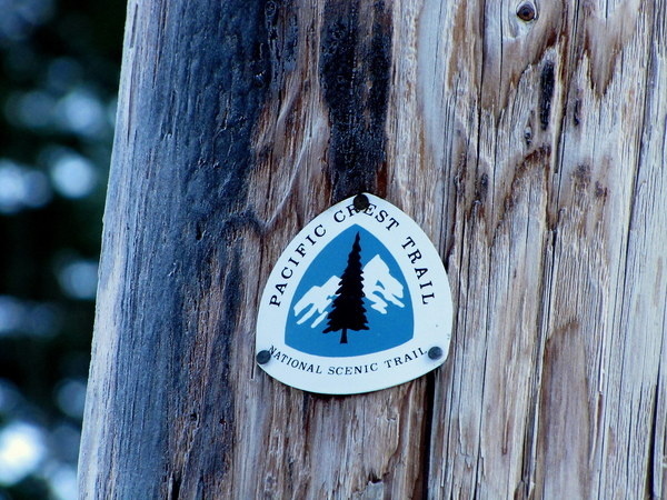 STEEL BISON: Photo #steel #marker #bison #tree #trail #up #lock