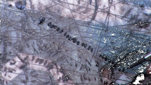 CJWHO ™ (GIFs of the Intricate Process Behind a...) #illustration #design #gif #art
