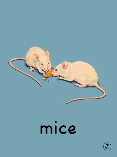 mice Art Print by Ladybird Books Easyart.com #vintage #artprints #print #design #retro #art #bookcover