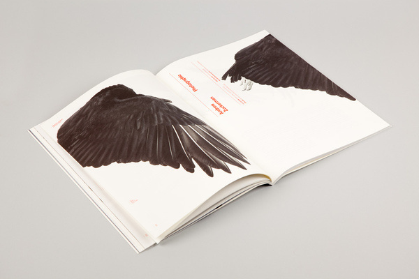 photo #print