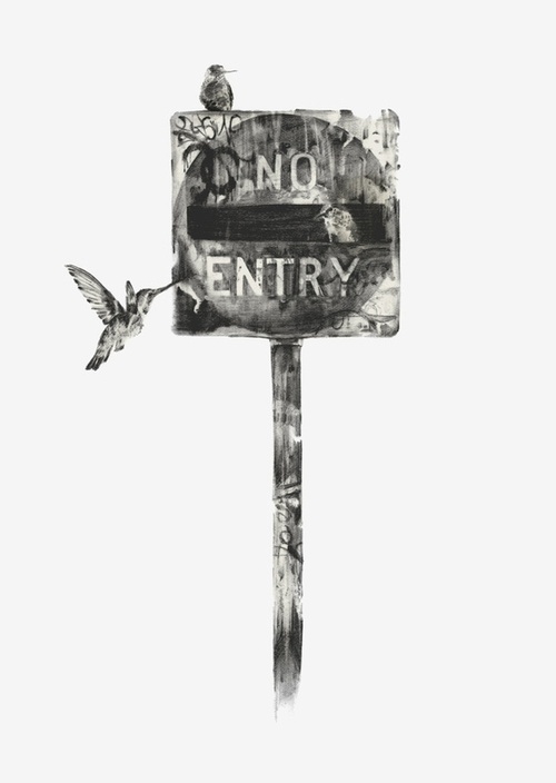 Tumblr #ink #entry #birds #illustration #art