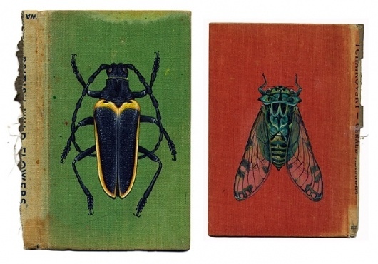 Colossal | An art and design blog. | Page 8 #rose #bugs #book #cover #sanderson