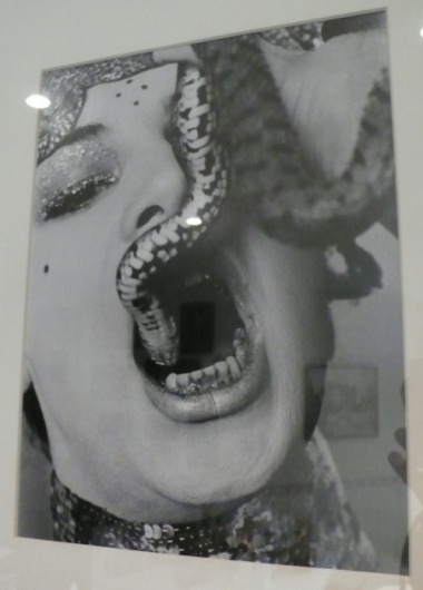 tumblr_lcs1wbdWwu1qb0n4mo1_500.jpg 500 × 697 Pixel #photography #woman #snake
