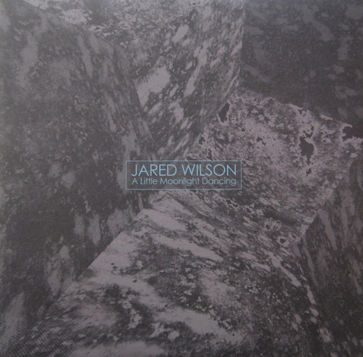 igloomag.com :: Jared Wilson :: A Little Moonlight Dancing (Skudge Presents) #packaging #design #graphic #sleeve #vinyl #cd