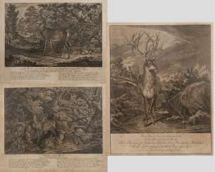 Johann Elias Ridinger, Convolute Wild Representations