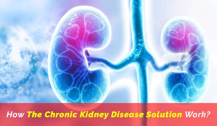 How Chronic Kidney Disease Solution Work
