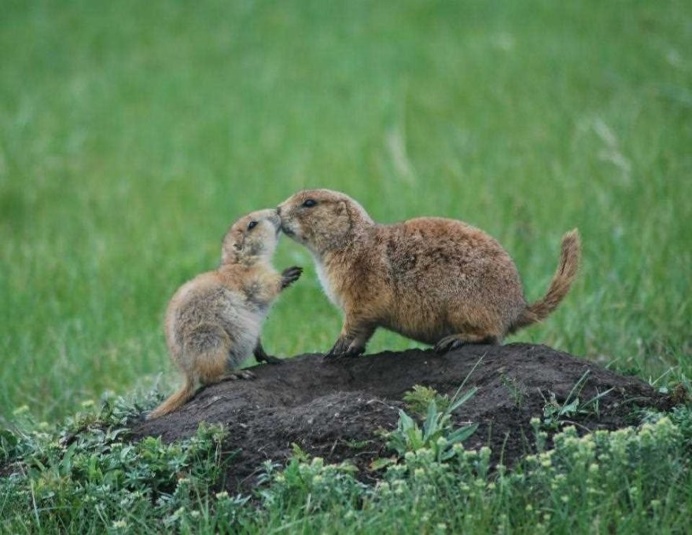 The Winners of the National Geographic Kids International Photography Contest