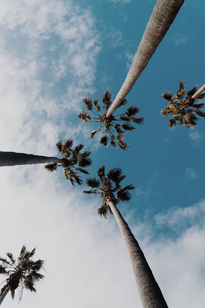 Santa Barbara Views photo by O.C. Gonzalez (@ocvisual) on Unsplash