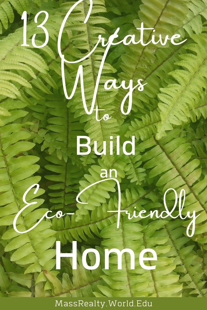 Eco Friendly New Home