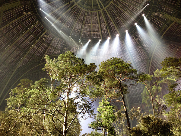 Chanel Spring 2013 Show at the Grand Palais Paris #paris #karl #grand #2013 #chanel #fashion #lagerfeld #palais #trees