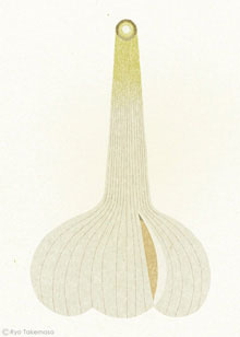 #illustration #food