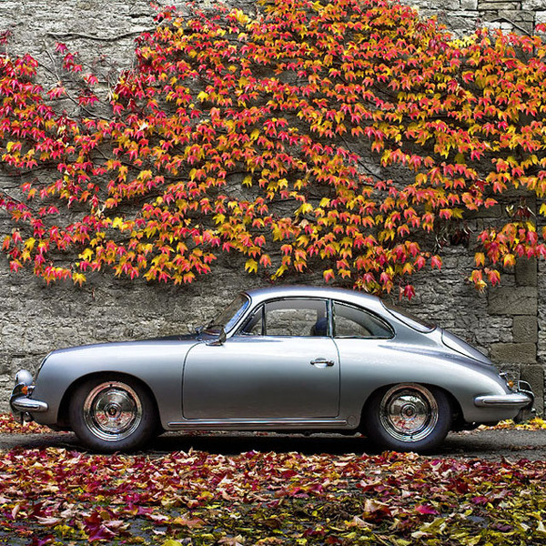 Fancy Porsche 356 #vines #vehicles #automobiles #green