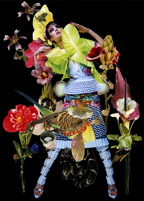 Ashkan Honarvar | PICDIT #fashion #collage #art #portrait