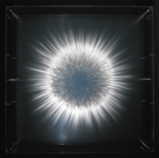 xia xiaowan9 #glass