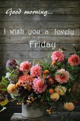 - Good Morning
