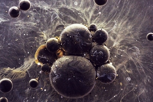 David McLeod 2 #photography #macro #sphere