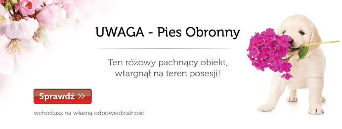Karmy dla psów suche