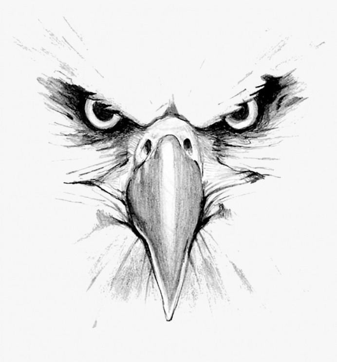 Eagle Face Tattoo Design
