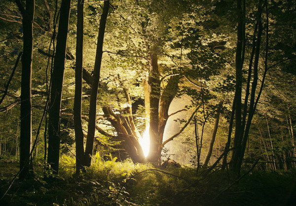 Burned Over by Amelia Bauer #inspration #photography #art