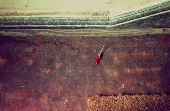 Photography by Krystel Marois #inspration #photography #art