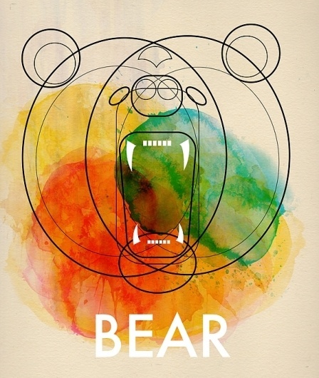 Animals : Alvaro Tapia Hidalgo #poster #illustration #art #typography