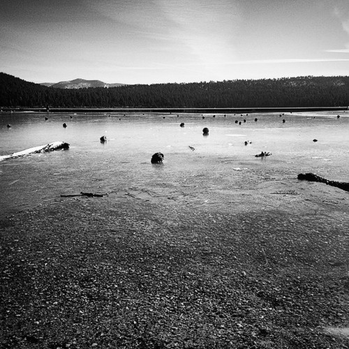 www.kayleighryleydesign.com goes to Lake Tahoe #laketahoe #photography #design #california