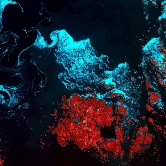 A process cannot be understood by stopping it. Understanding must... - but does it float #ocean #photography #satellite