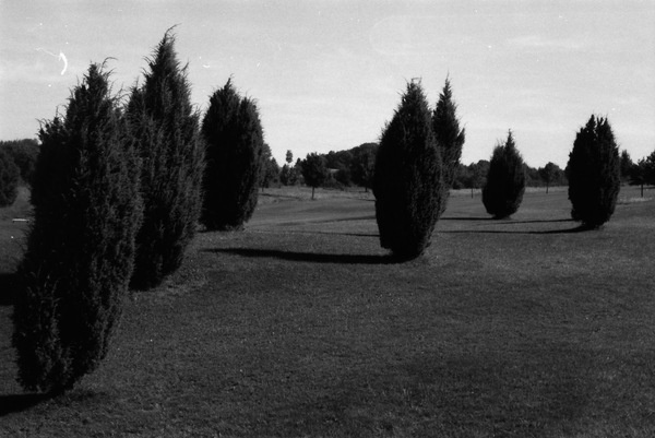 _. | Triangular Love. #rollei #white #golf #black #trees #photography #and #100 #iso #love