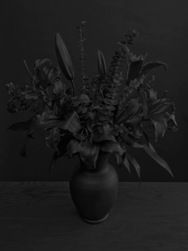 HOUSE OF VAN SCHNEIDER #black