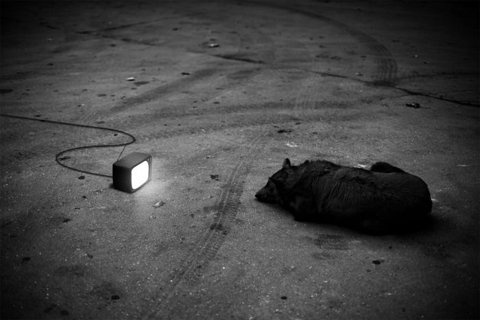Kill Yourself » Every Reason to Panic #lonely
