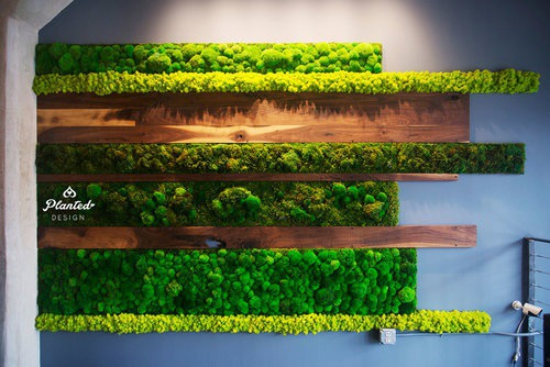 Iron Source - Moss Wall