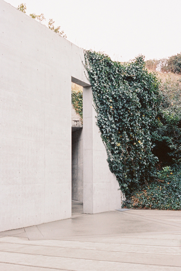 Morgan Hickinbotham - S E I S M E S #photo #door #photography #wall #kudzu