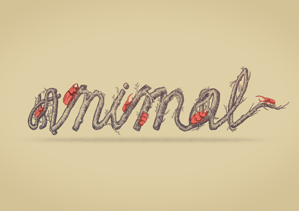 Animal / Species by heymikel #lettring #drawing #illustration #typografi #scarabs #branches #animal