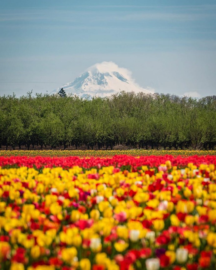 Magical Outdoor Landscapes of Oregon by Nicholas Steven
