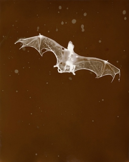 Prints : Christopher Colville #colville #photography #christopher