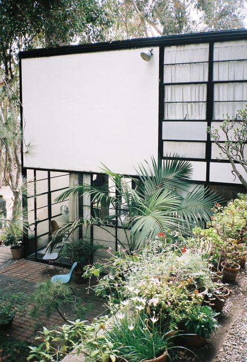 #HOUSE #GARDEN #MINIMAL