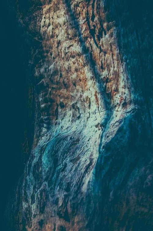 #woods #scandinavia