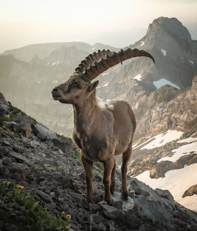 Magnificent Outdoor and Landscape Photography by Toni Butzmann